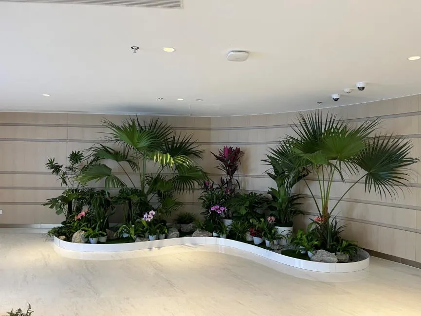 宁波花卉租摆公司，用鲜花装点您的办公与生活空间！