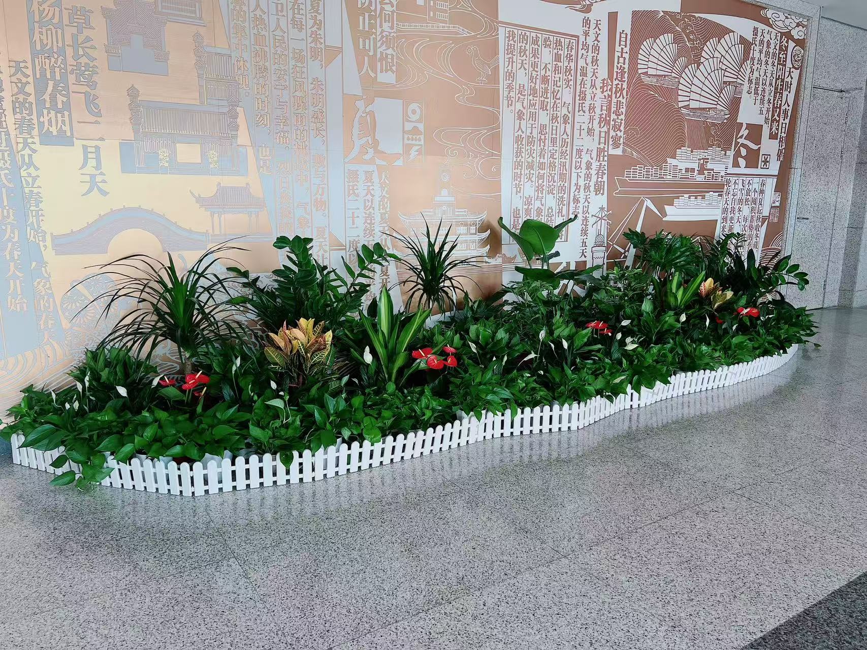 宁波江北花木租赁哪家好